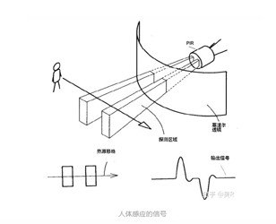 j9九游会